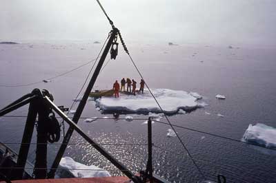 scientists on an ice floe