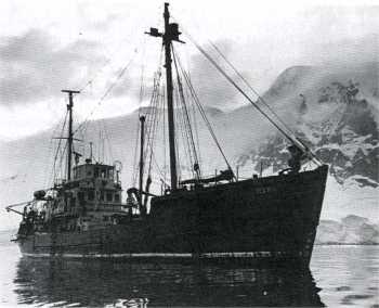 south light