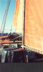 those orange sails those orange sails