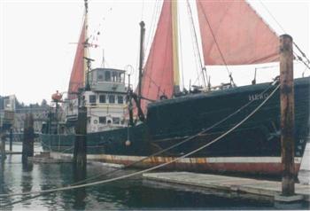 red sails at morning
