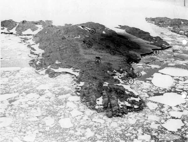 aerial photo of the proposed Palmer Station site