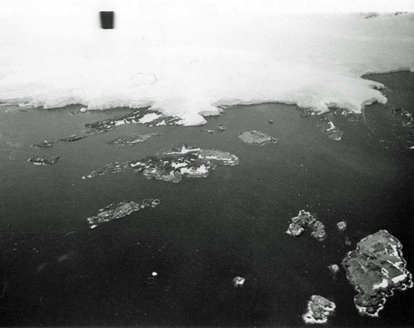 Arthur Harbor from a distance