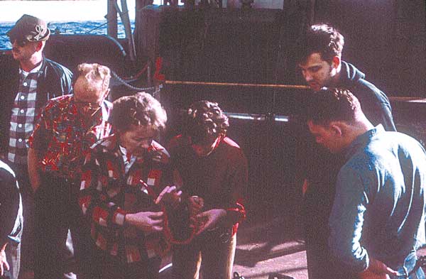 Mary Alice McWhinnie looking at a fish