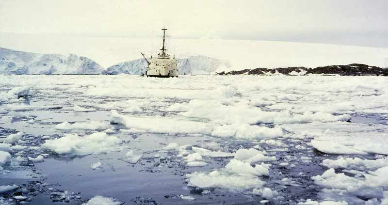 Westwind in Arthur Harbor