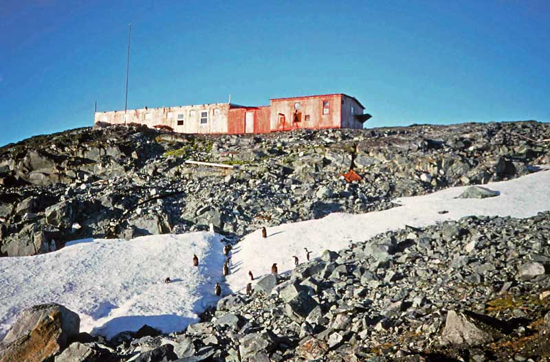 Old Palmer front side with penguins